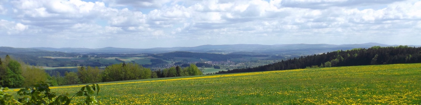 Panorama in den südlichen Oberpfälzer Wald